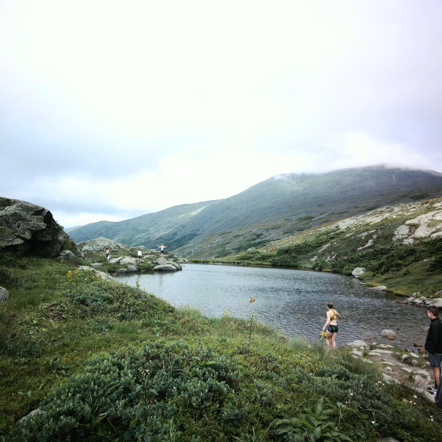 Podcast updates coming soon!